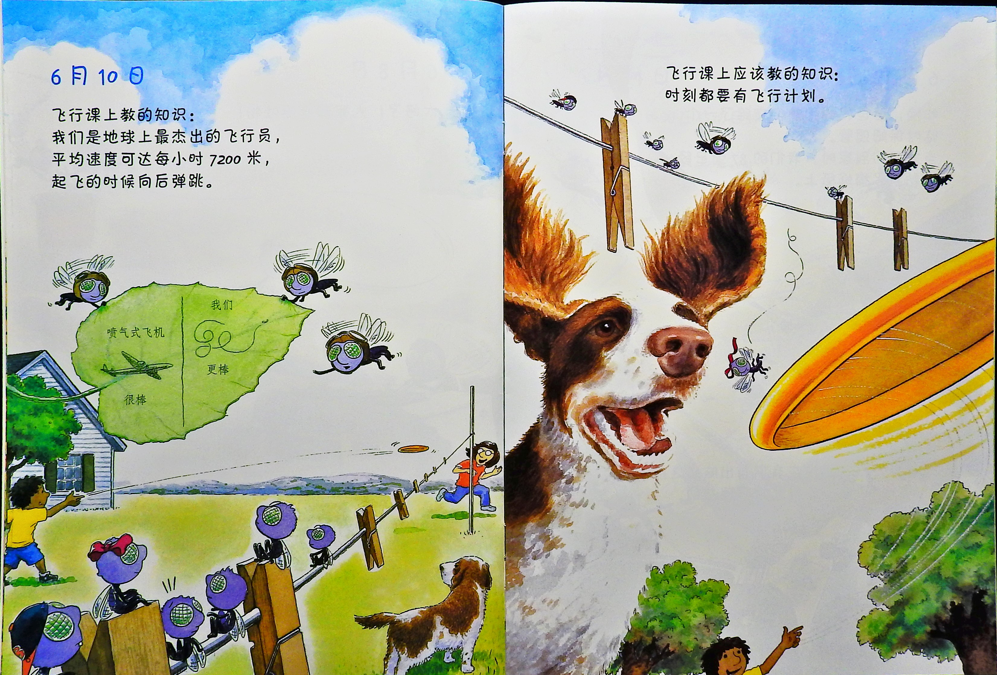 苍蝇的日记 (05),绘本,绘本故事,绘本阅读,故事书,童书,图画书,课外阅读